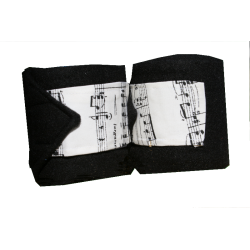 Polo bands music notes